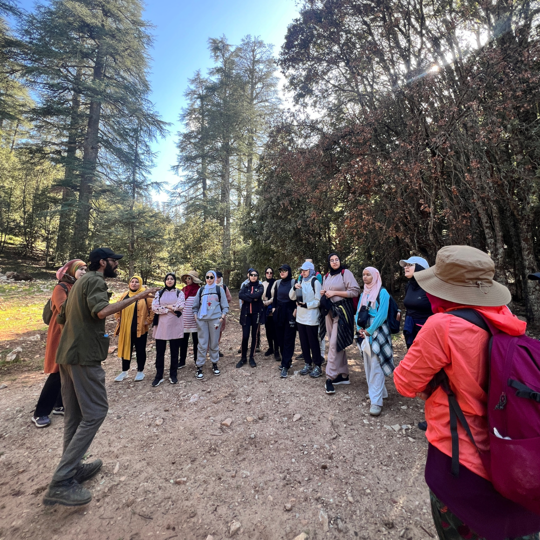 13 triplan activité