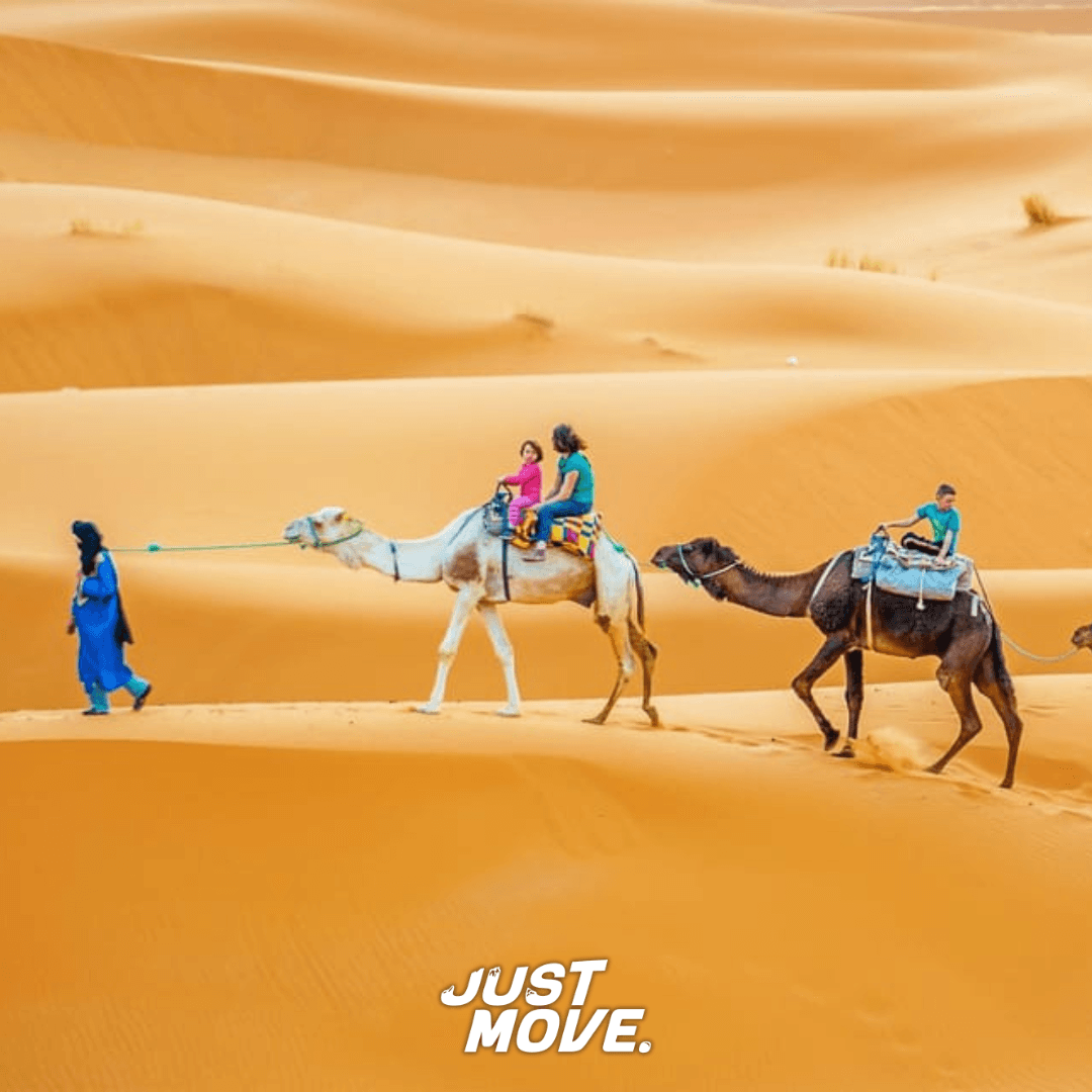 Merzouga Dunes Sahara (17) triplan activité