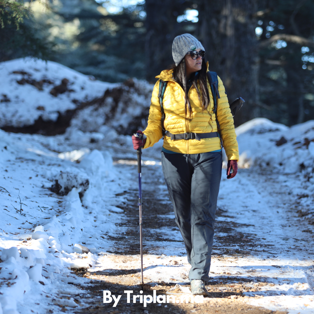 2 (1) triplan activité