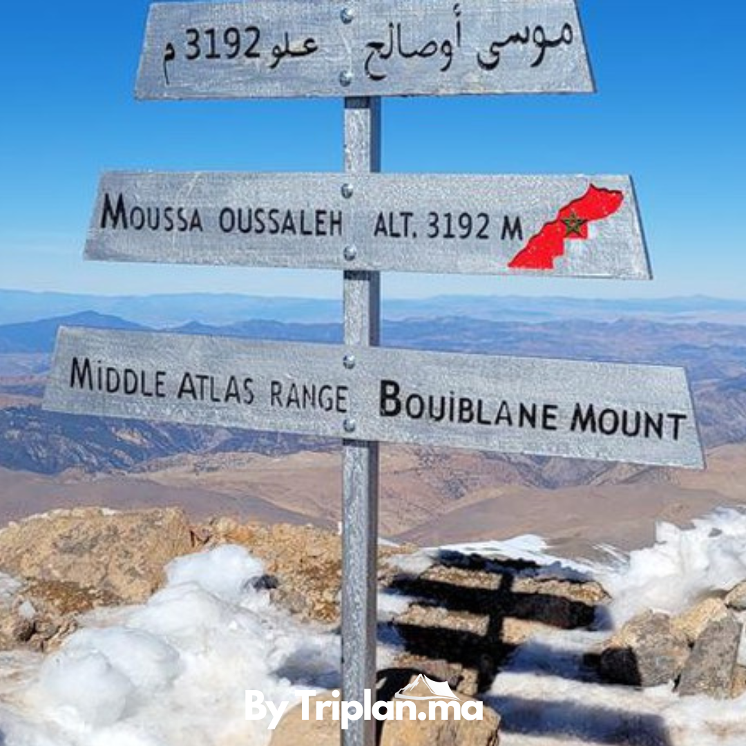 3 (2) triplan activité