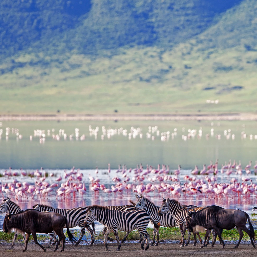 10 triplan activité