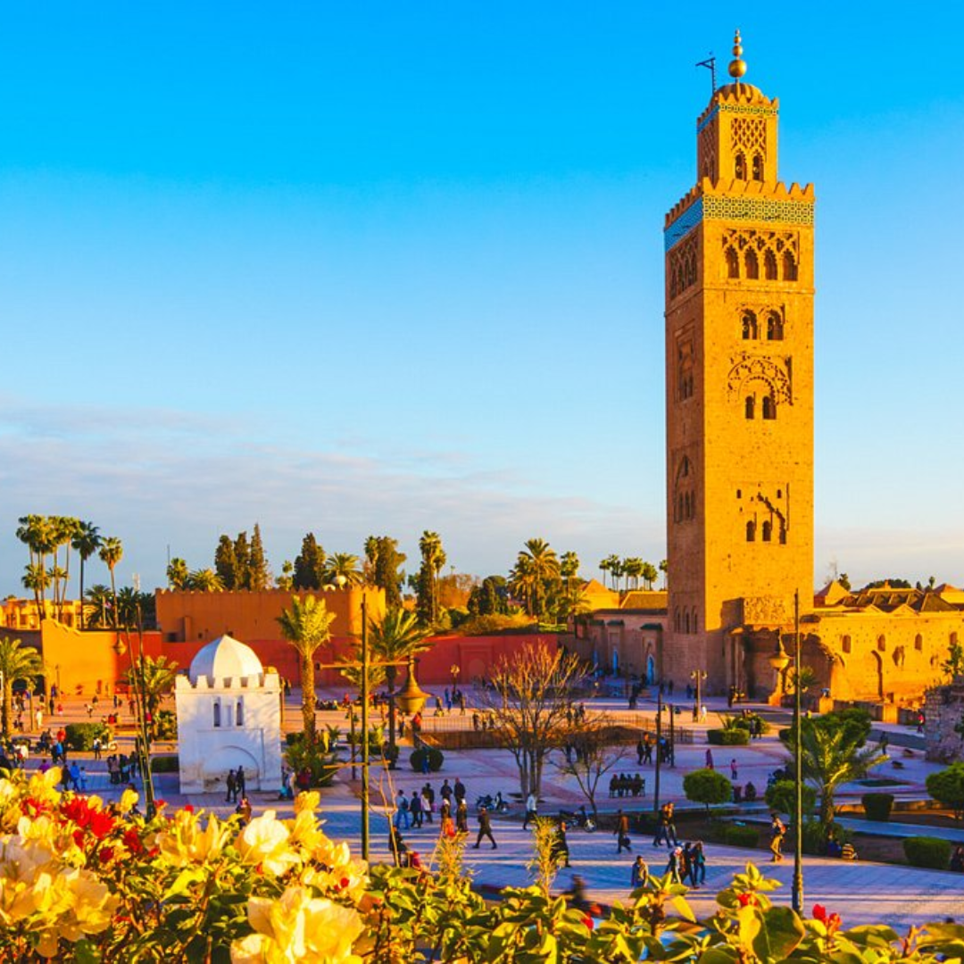 15 triplan activité