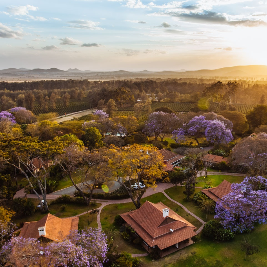 Copie de Imsfrane JustMove triplan activité