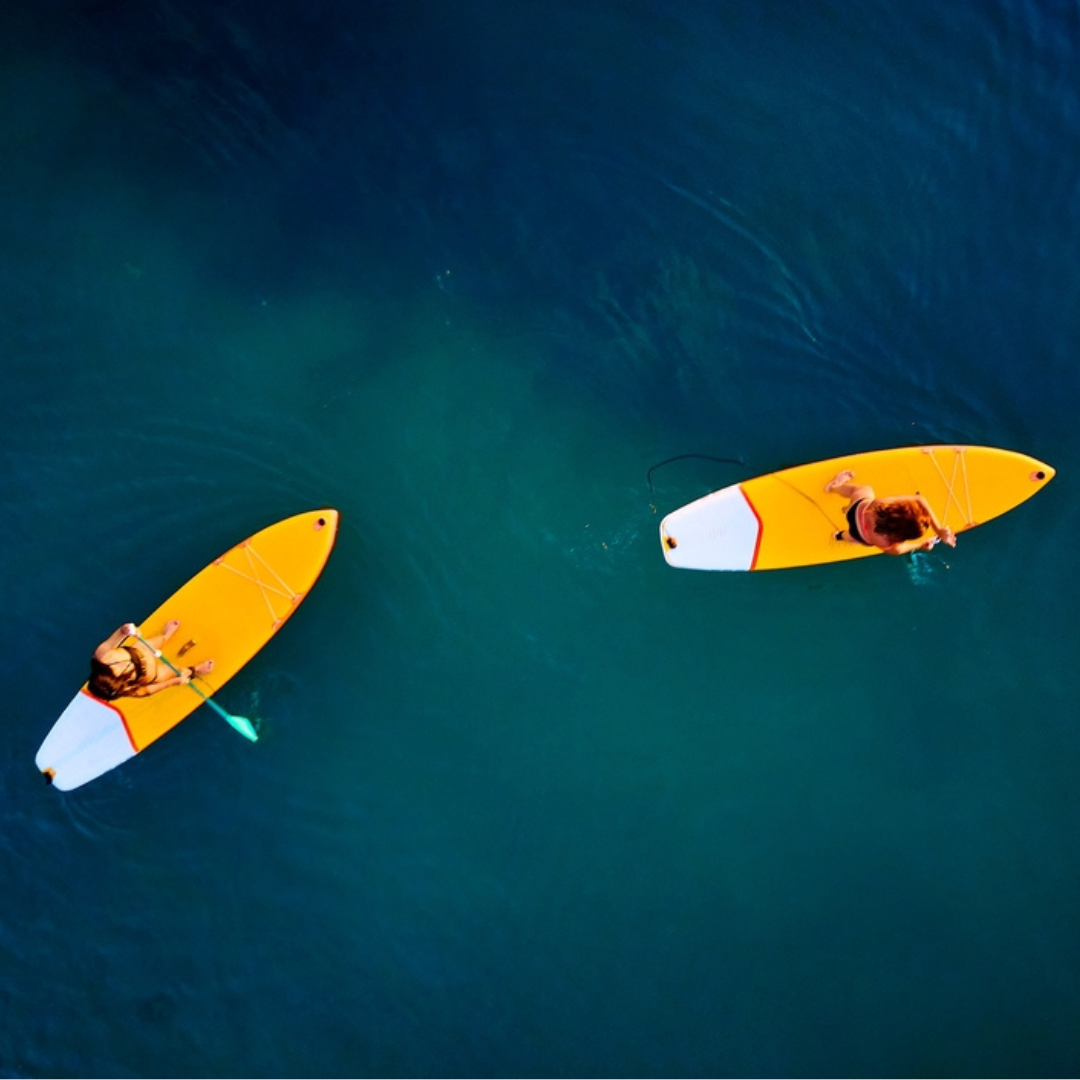 PADDLE (1) triplan activité