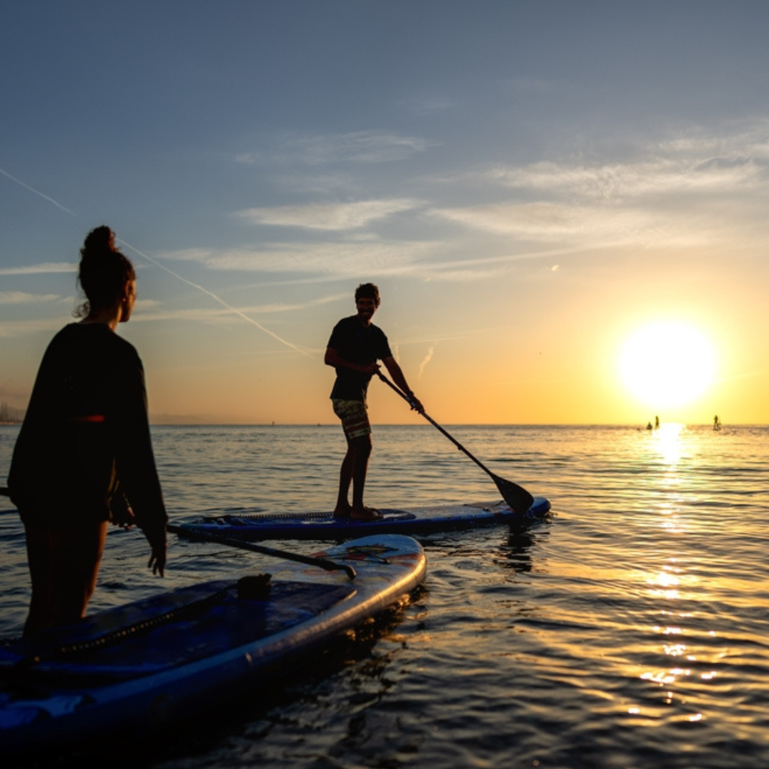 PADDLE (3) triplan activité