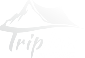logo_blanc